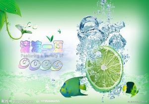 托特纳姆热刺球迷期待胜利，信心十足