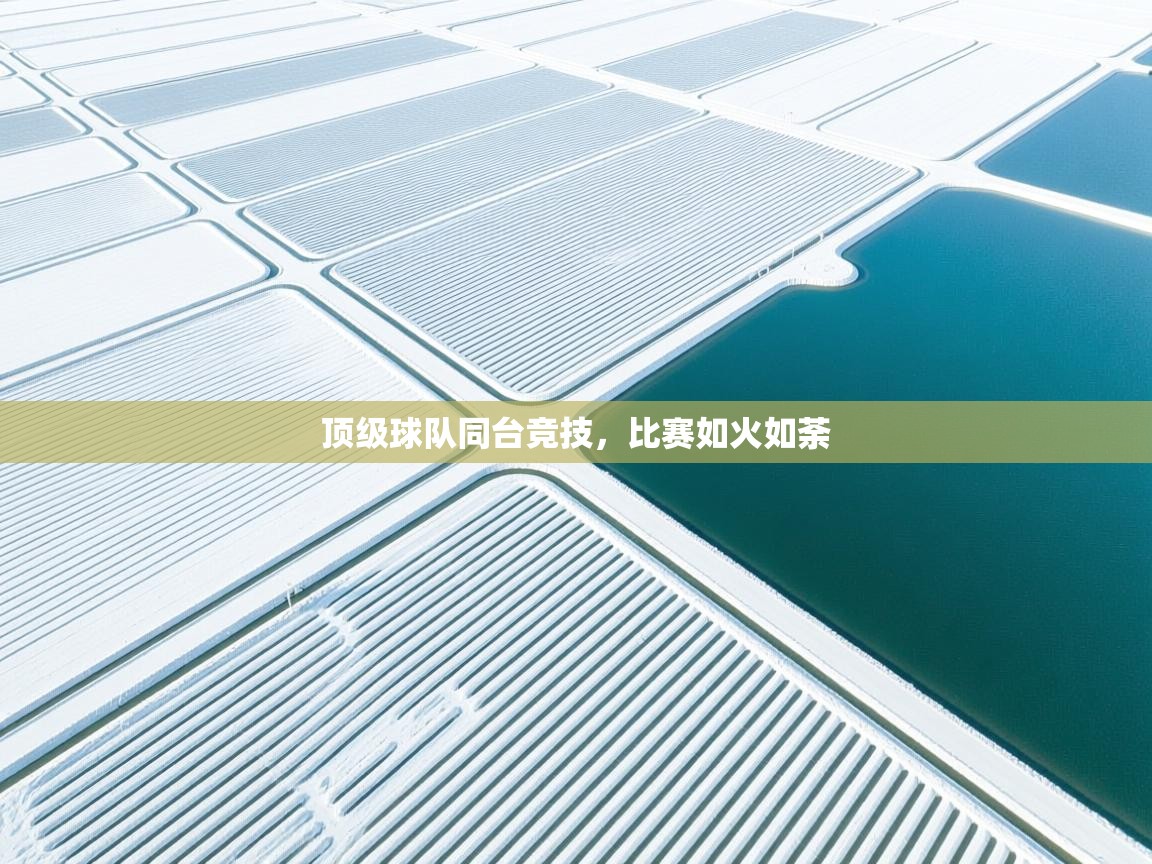 顶级球队同台竞技,比赛如火如荼 第2张