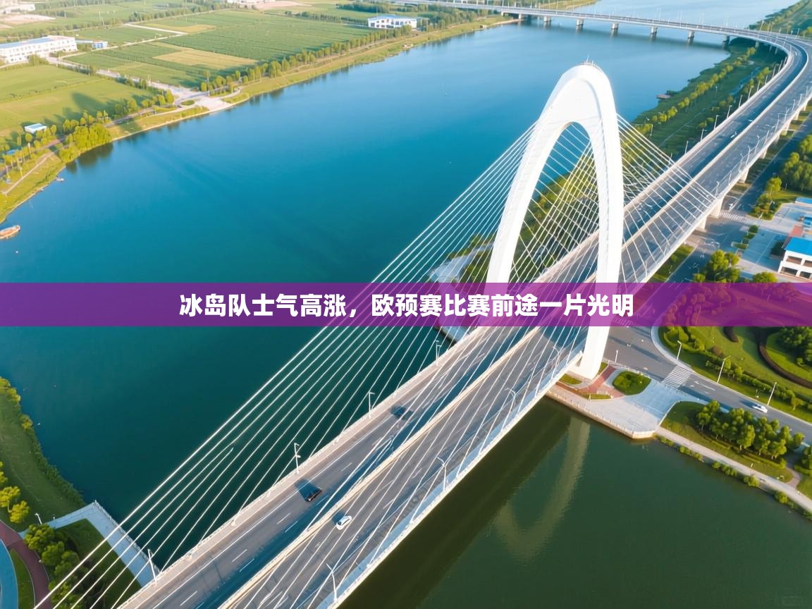 冰岛队士气高涨，欧预赛比赛前途一片光明